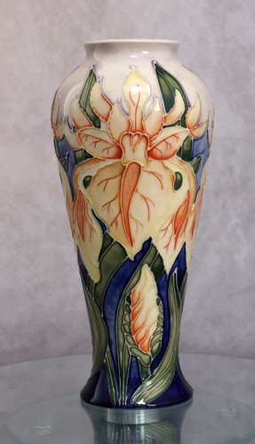 Moorcroft windrush flag iris - 'windrush',